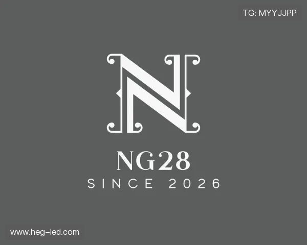 关于NG28